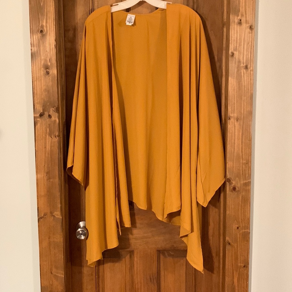 2/$10 Mustard duster